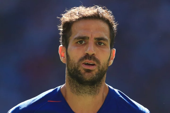 Cesc Fabregas lands first senior management job with Como caretaker role