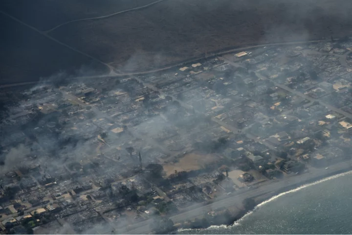 At least 36 dead in Hawaii wildfires, tourists evacuated