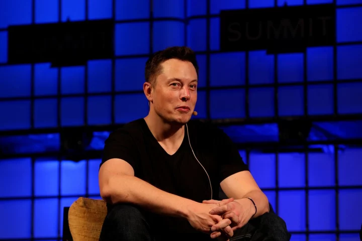 Elon Musk was on brink of death after catching malaria on South African safari, book claims