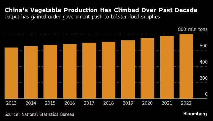 China’s Farmers Forced to Let Vegetables Rot as Demand Wanes