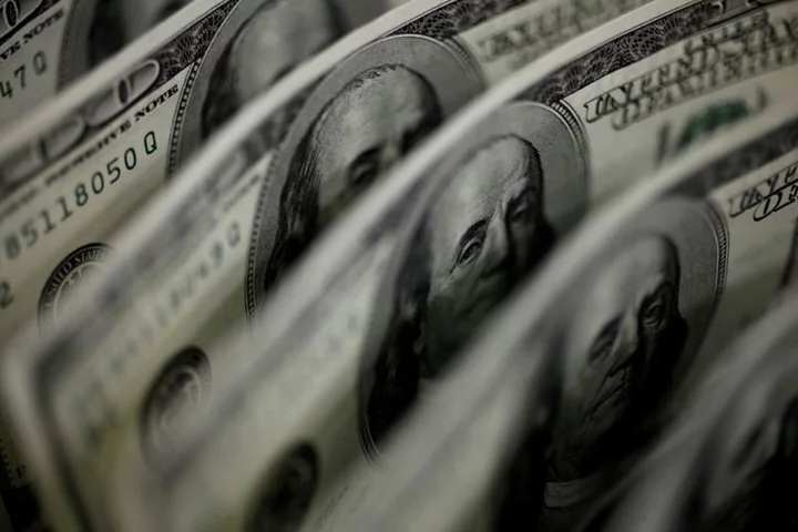 Dollar hovers near 2-month high as debt ceiling angst saps risk appetite