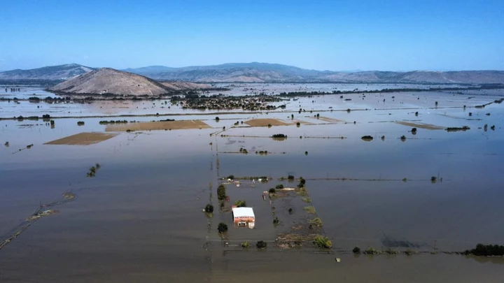 Storm Daniel: Greek farmers fear they may never recover