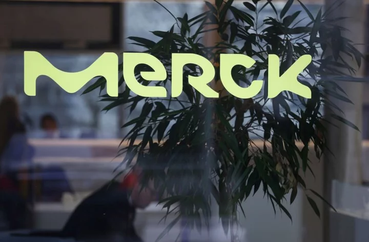 Germany's Merck flags steeper drop in earnings