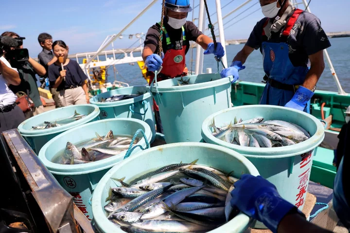 Sushi standoff spreads as Russia joins China in banning Japanese seafood