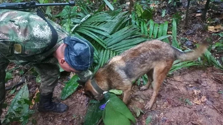 Mapping the search for Colombia's plane crash children