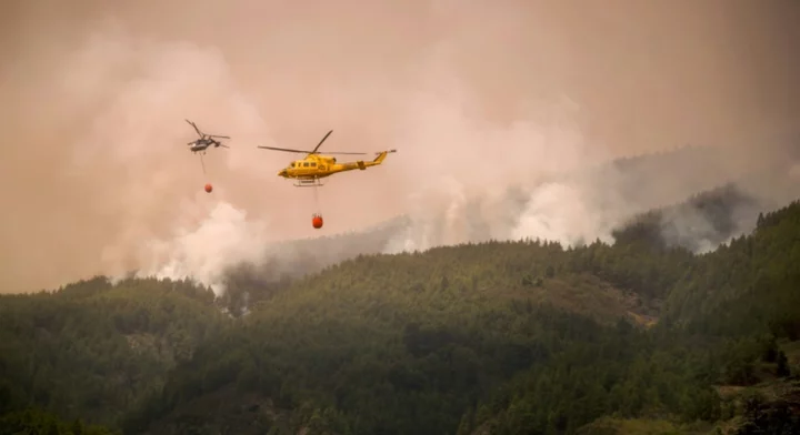 Spain PM hopes Tenerife wildfire will stabilise 'in coming days'