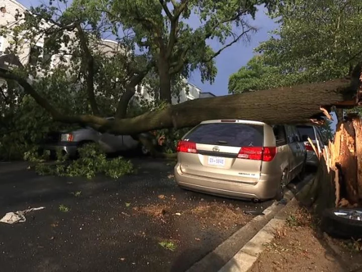 Thunderstorms cause damage in DC area