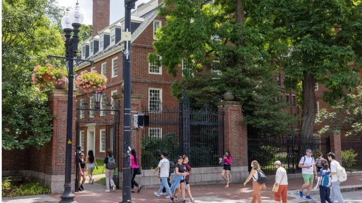 Growing backlash over Harvard students' pro-Palestine letter