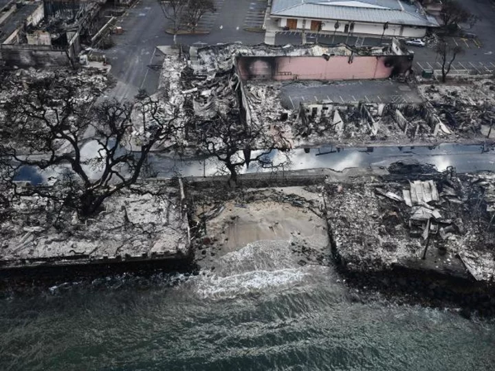 Fears of predatory land grabs mount in the ashes of Maui, opening old wounds