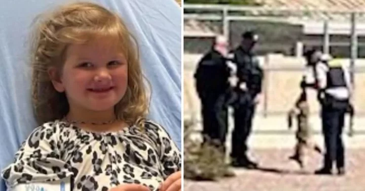 Who is Blair? Police shoot dead wild coyote after 4-year-old Mesa girl was left with bite marks in sudden animal attack