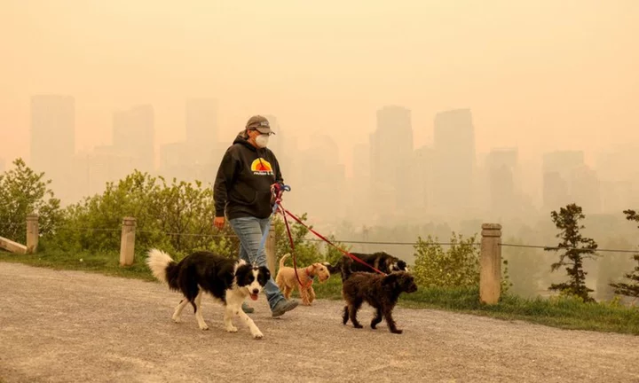 Wildfire risk spurs Alberta park closures ahead of holiday weekend