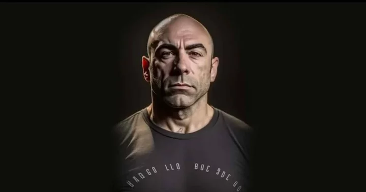 Who was behind 'The Joe Rogan AI Experience' podcast?