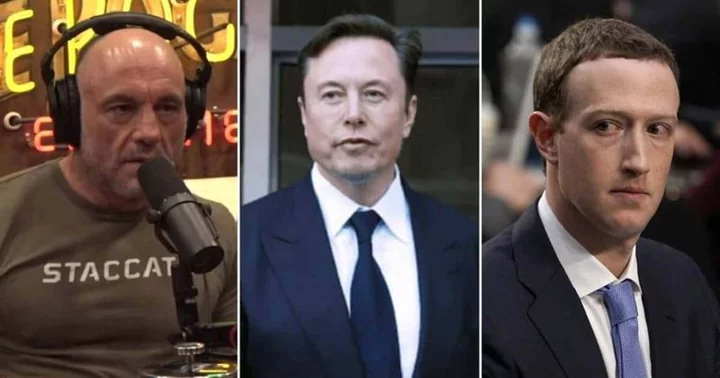 Joe Rogan once revealed 'big difference' between Elon Musk and Mark Zuckerberg: 'He's a legitimate genius'