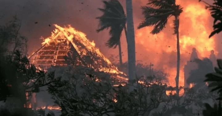 Were the Maui fires arson? Internet users believe they have closed in on cause of 'spark'