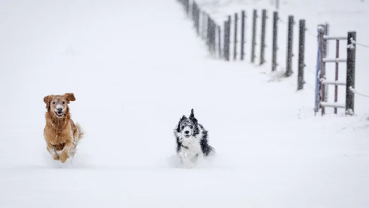 First major snowstorm of the season hitting the northern Rockies after a warm fall