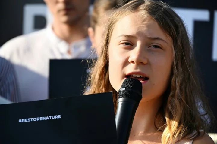 Greta Thunberg fined over Sweden climate protest