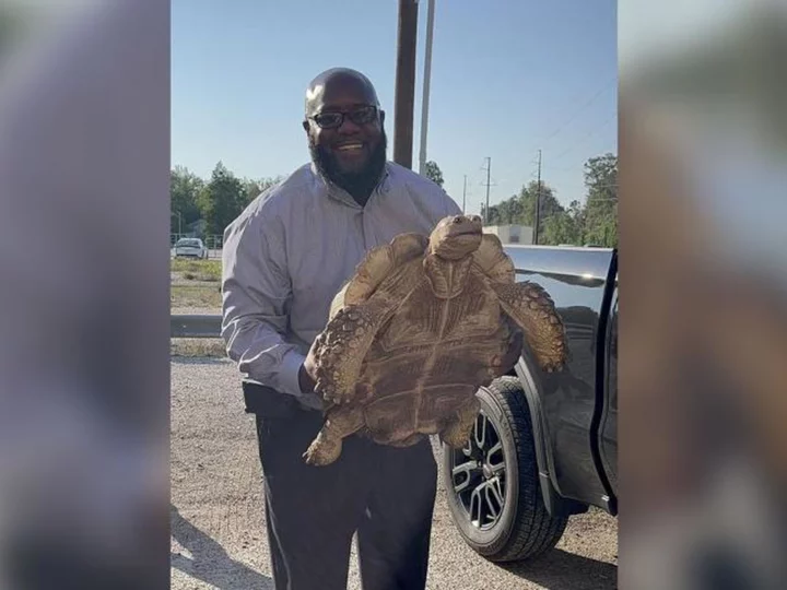 100-year-old African tortoise reunited with family after being rescued from canal, officials say