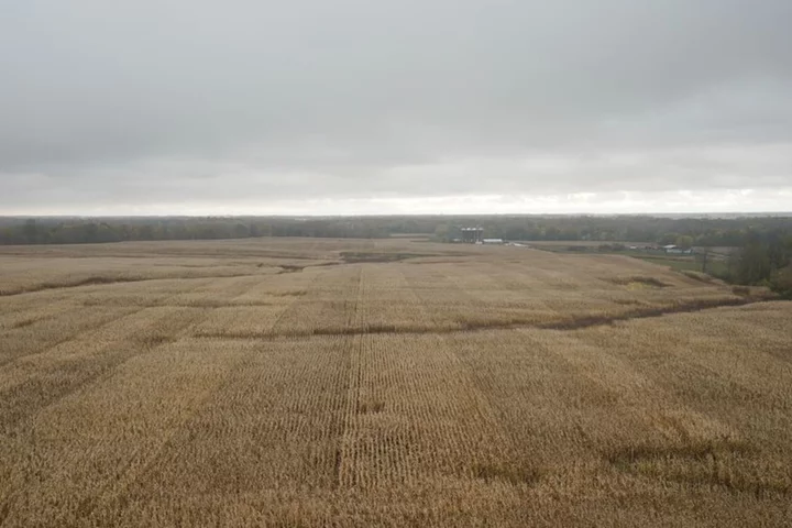 Investment funds stocking up on US farmland in safe-haven bet