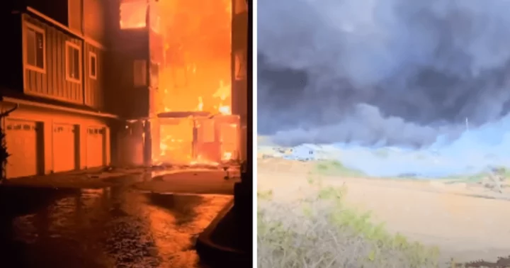 Who is Ariel Quiroz? Maui resident's quick-thinking saved his home from burning down in Hawaii wildfires